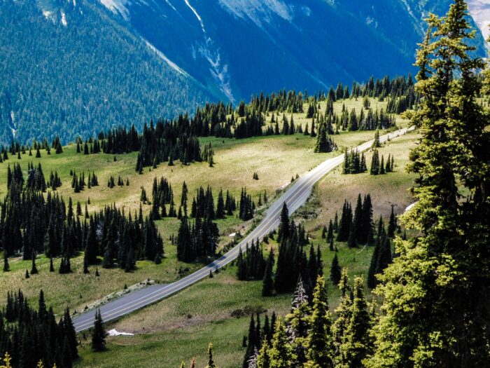 sunrise road on mt rainier